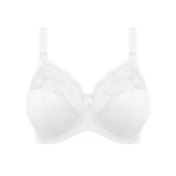 Morgan Underwire Banded Bra with Stretch Lace - White