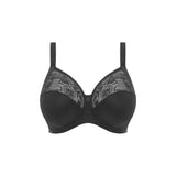 Morgan Underwire Banded Bra with Stretch Lace - Black