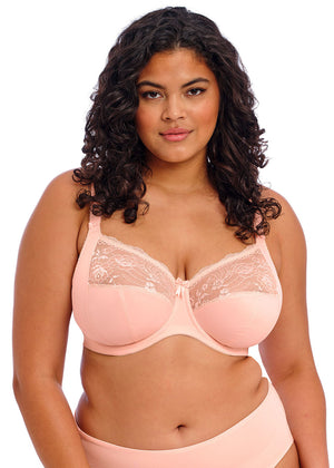 Morgan Underwire Banded Bra with Stretch Lace - Ballet Pink