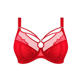 Brianna Plunge Bra in Haute Red
