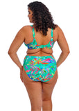 Toyama Tides Mid Rise Bikini Brief