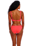 Jewel Cove Bikini Brief - Plain Sunset