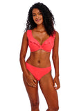 Jewel Cove Bikini Brief - Plain Sunset