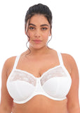 Morgan Underwire Banded Bra with Stretch Lace - White