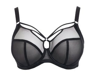 Sachi Underwire Plunge Bra